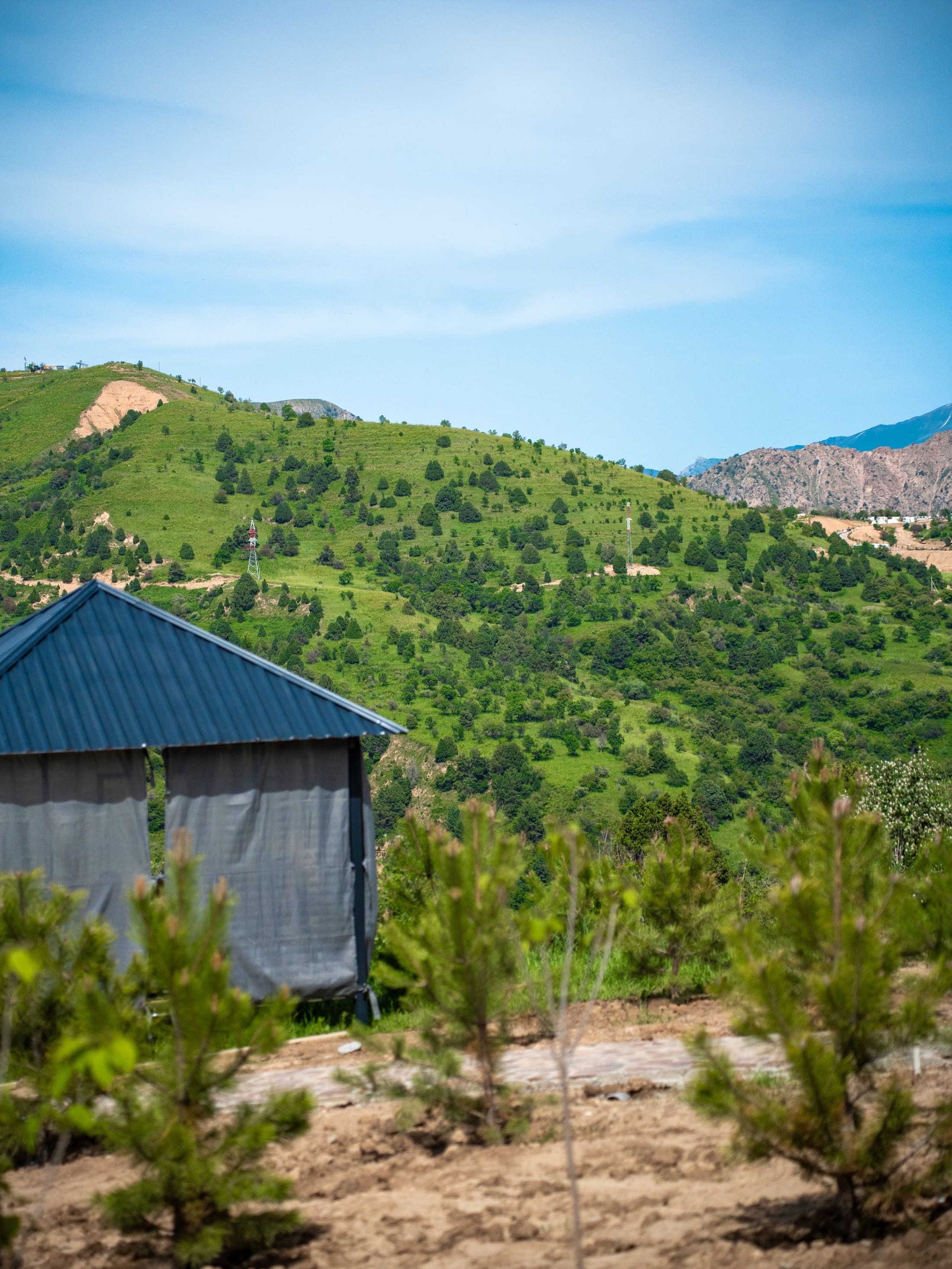 View of green mountains from the grounds